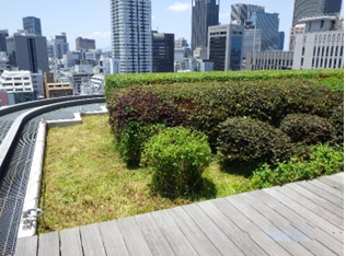 マンションの緑地管理の写真